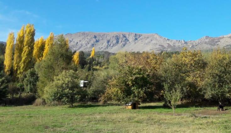 Phong cảnh thiên nhiên gần nhà gỗ