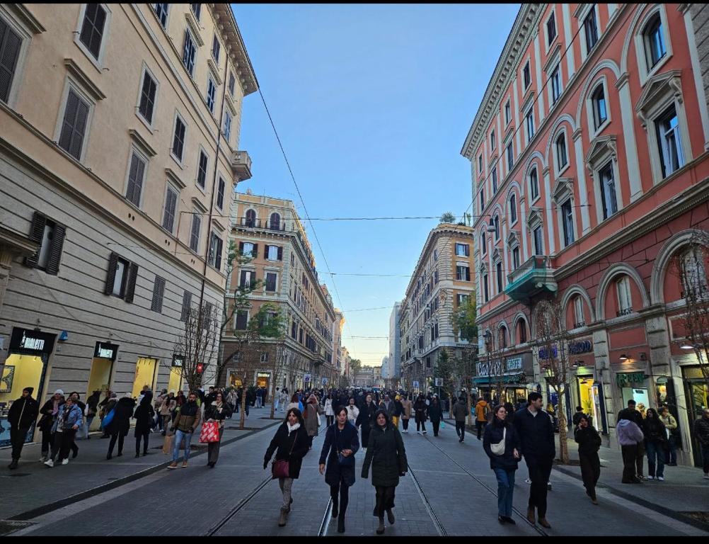 Hosté ubytování Ottaviano Lodge
