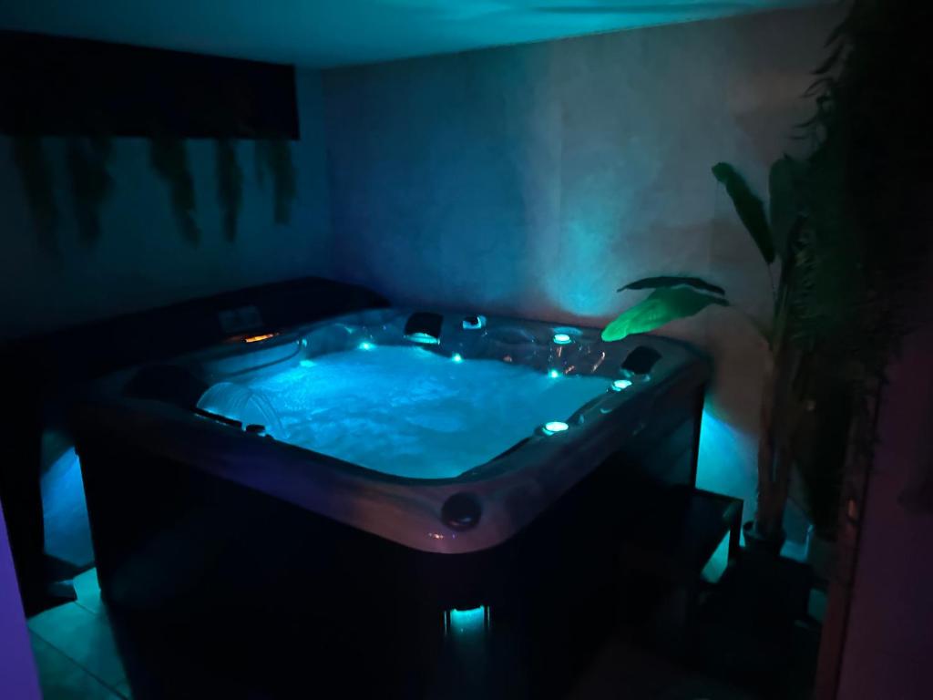 ein dunkles Badezimmer mit einer Badewanne, in der eine Pflanze steht in der Unterkunft Thermo'Spa - Gîte Spa Privatif in Calais