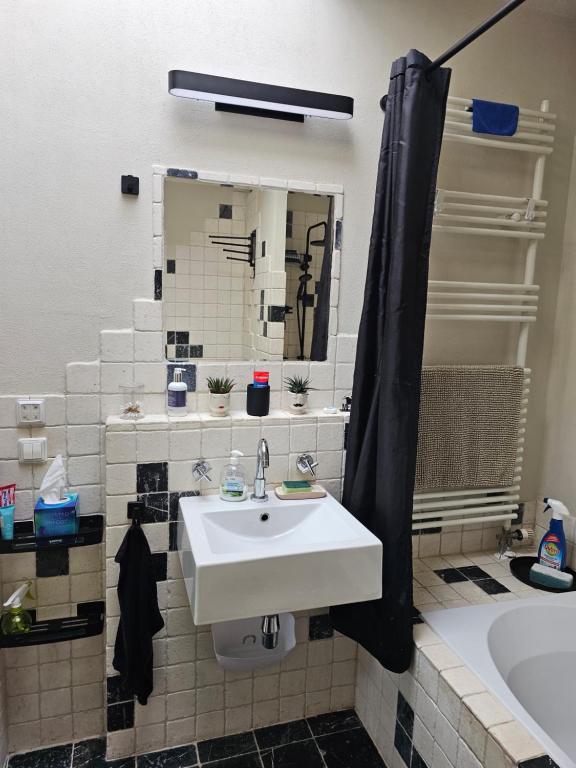 a bathroom with a sink and a mirror at Kopje van Haaglanden in The Hague