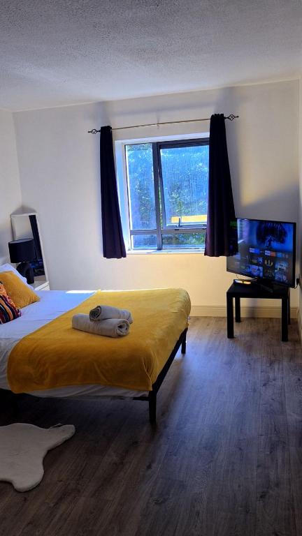 リムリックにあるEntire 2bed apartmentのベッドと薄型テレビのある寝室