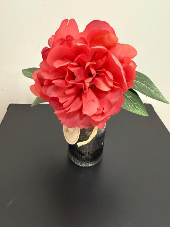 a red flower in a vase on a table at 2 chambres cosy in Le Bourget