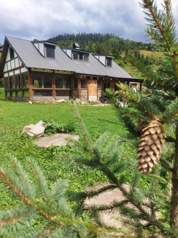 Zahrada ubytování the Wild