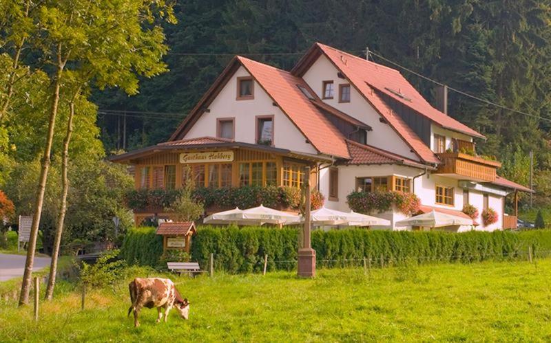 a cow grazing in a field in front of a house at Gasthaus Hohberg in Durbach