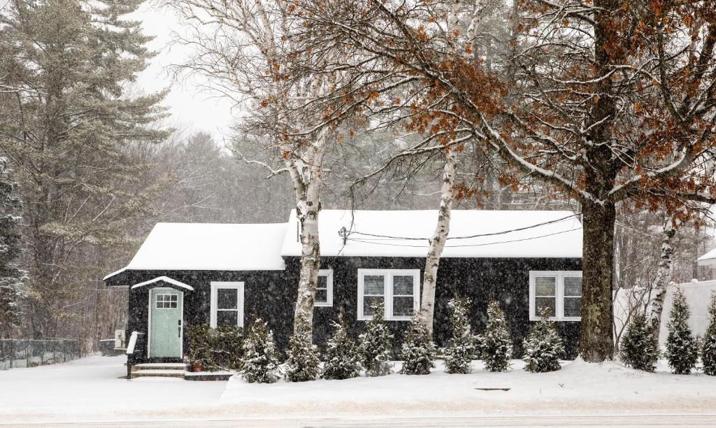 a house with christmas trees in the snow at Centrally Located Cozy Modern Home in Bethel in Bethel