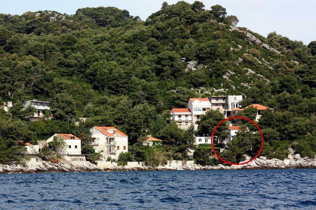 una casa sulla riva di uno specchio d'acqua di Apartments and rooms by the sea Sobra, Mljet - 4888 a Sobra