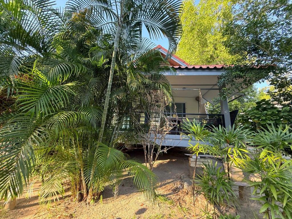 ein Haus mit einer Palme davor in der Unterkunft Serene Jungle Stay House-Very Central- in Ko Phangan