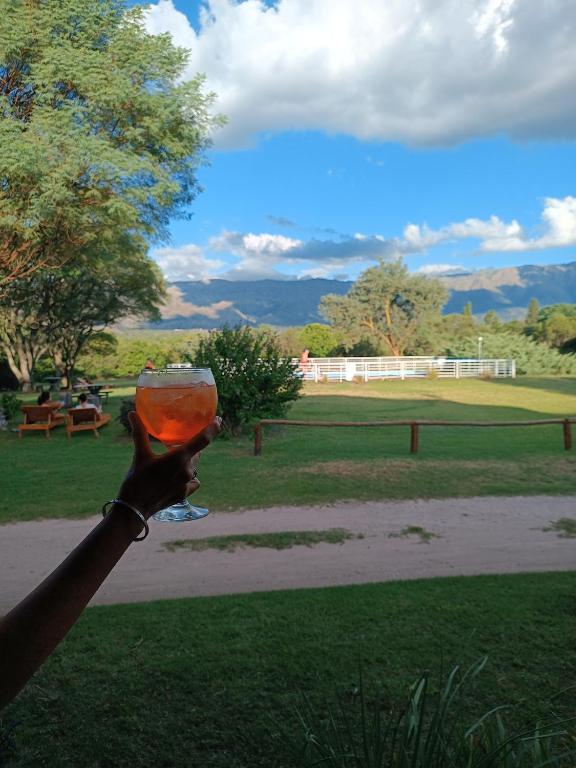 a person holding a glass of wine in a park at Hotel del Alto in Nono