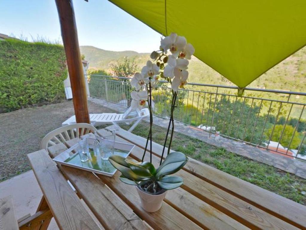 Maison 45m², Terrasse, Pour 6 Personnes - API-1-52-1033 في Saint-Rome-de-Tarn: طاولة خشبية عليها خزاف