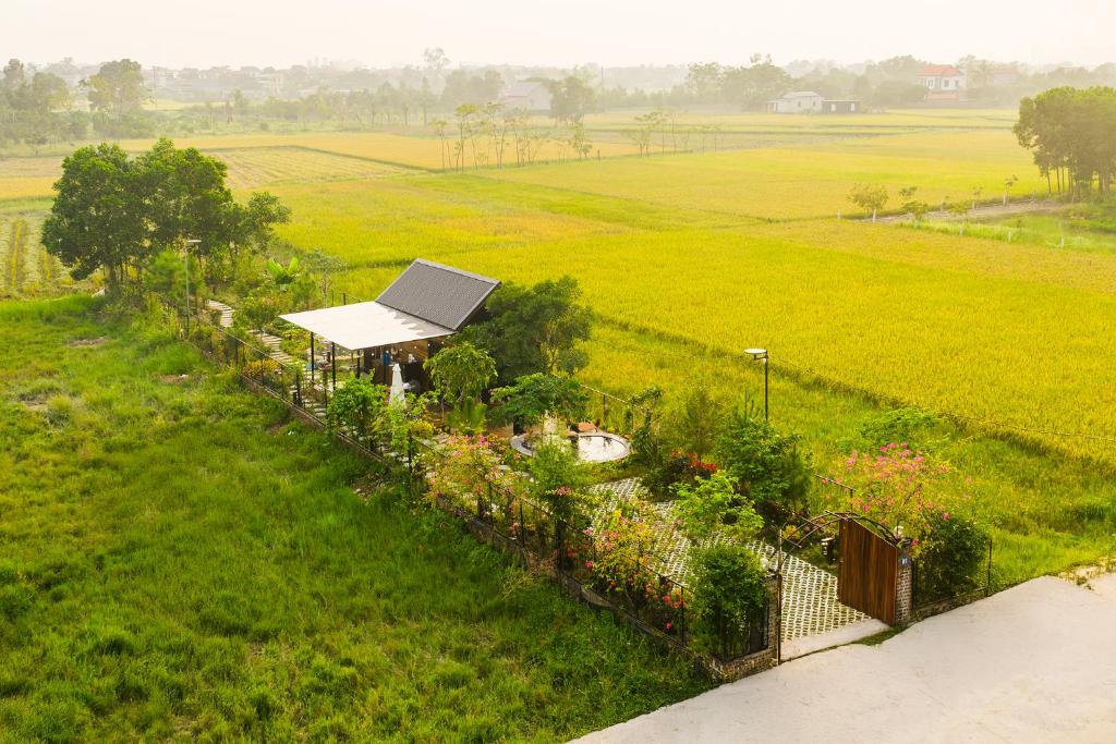 a garden with a solar panel in a field at An House in Sóc Sơn