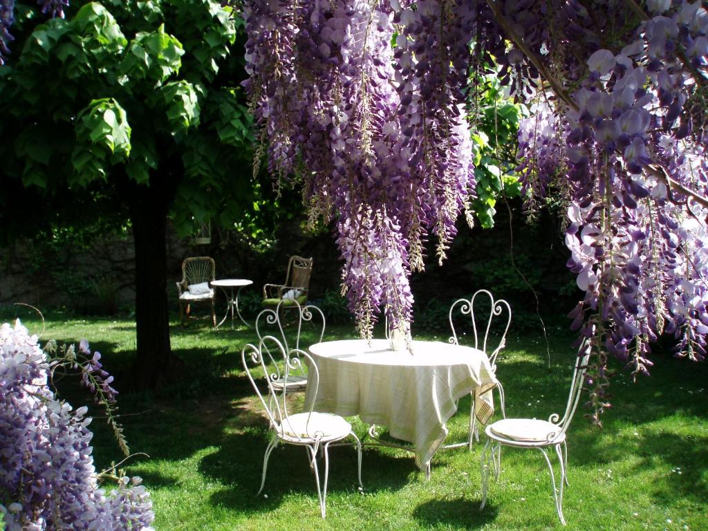 une table et des chaises sous un arbre avec des fleurs violettes dans l'établissement La maison de Concise - non adapté pour les enfants ni pour les mariages, à Thonon-les-Bains