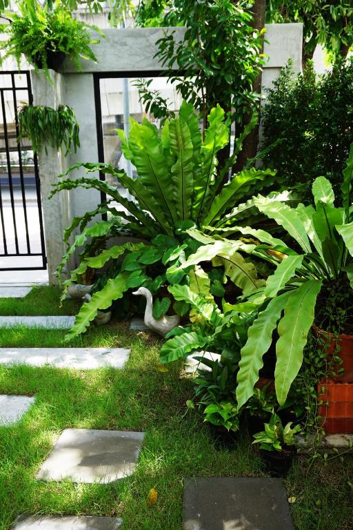 Zahrada ubytování Hansa Bangkok House