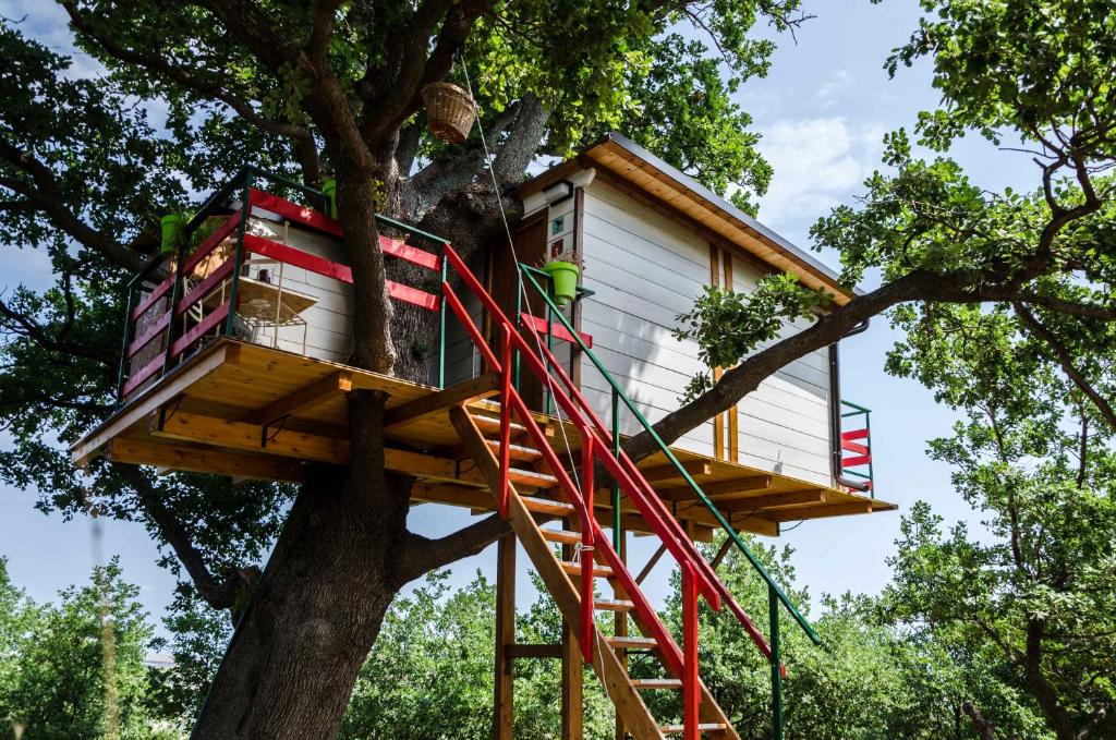 uma casa na árvore numa árvore em Casa sull'Albero em Lentella