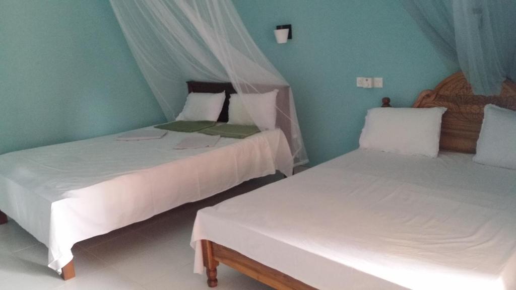 Sigiri Lion Lodge - 12