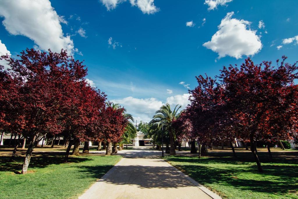 Hotel Kramer, Valence – Tarifs 2023