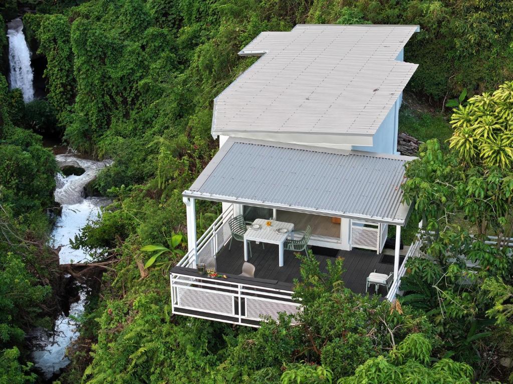 Un gros plan d'une feuille avec une cascade en arrière-plan photo – Image  gratuite de Fond d'écran sur Unsplash, image size:1024x768