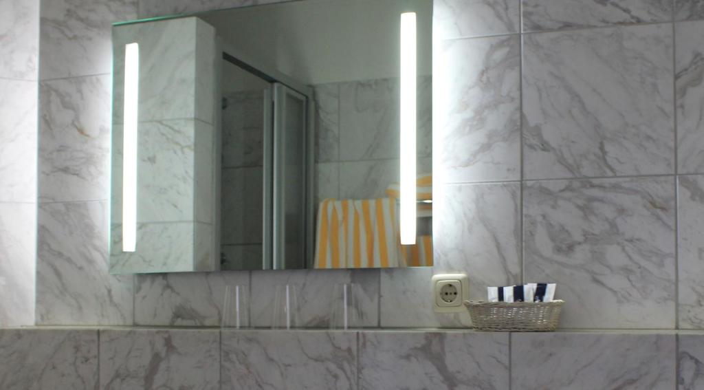 a bathroom with a mirror and a sink at Hotel Wakenitzblick in Lübeck