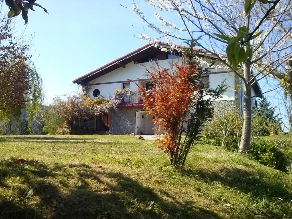 una casa en una colina con un árbol delante en Mote Cottage, en Mutriku