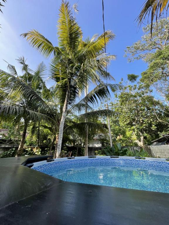 a swimming pool with a palm tree in the background at Praba villa in Midigama East