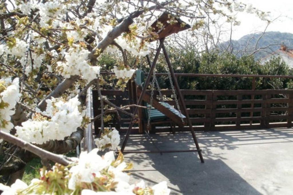 Studio Apartments Fancy - 18