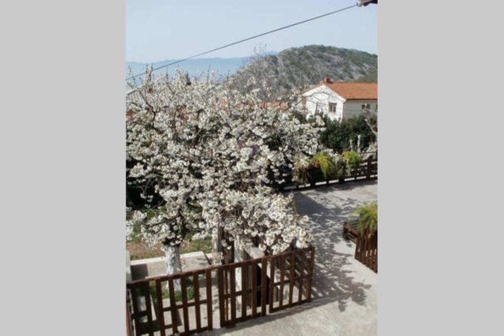 Studio Apartments Fancy - 16