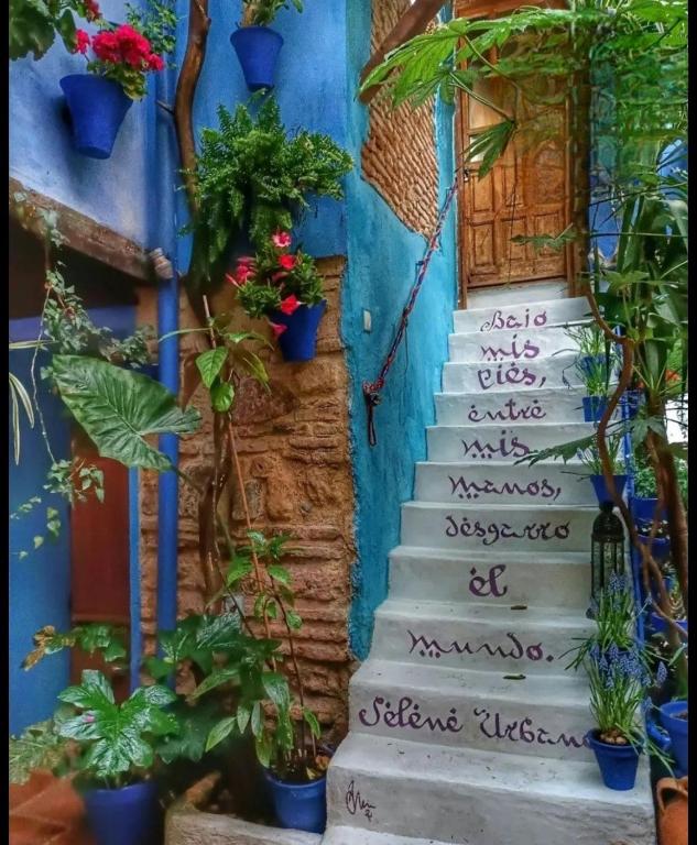 Patio Vesubio El patio azul Bohemio Mágico