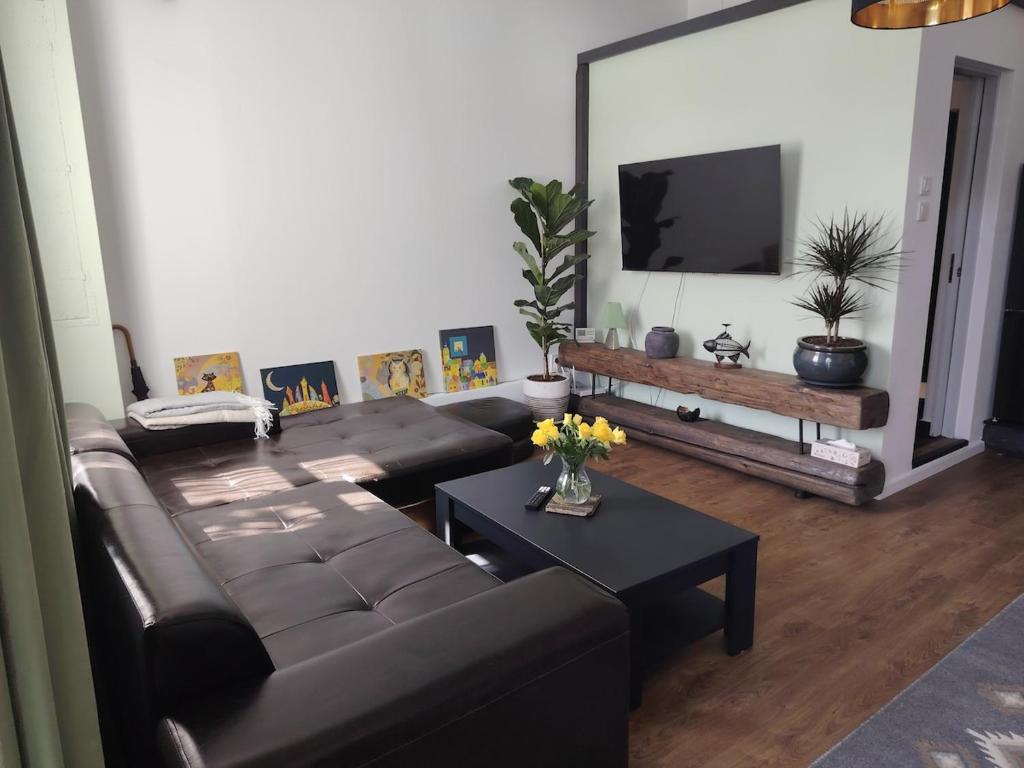 a living room with a couch and a tv at T38 Apartment, Vatra Dornei in Vatra Dornei