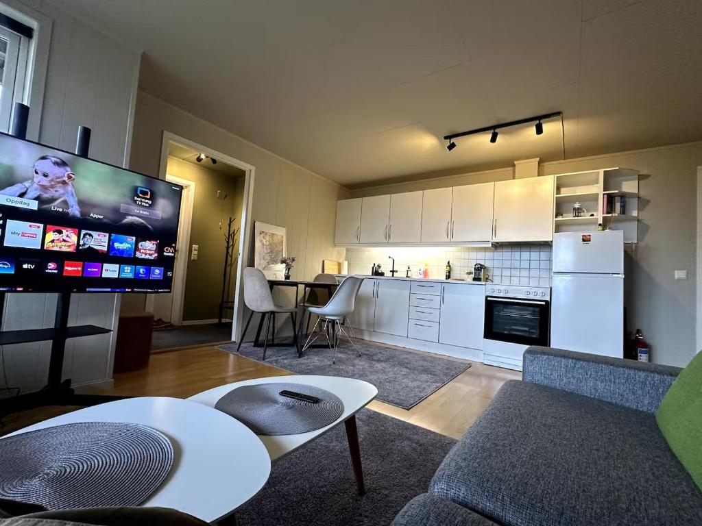 a living room with a tv and a kitchen at Aurora Borealis Apartment - Sleeps 3 - Parking in Hjorten