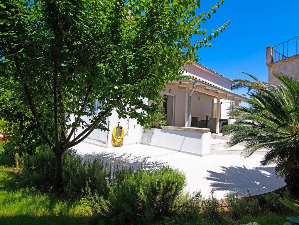 Κήπος έξω από το Alice A1