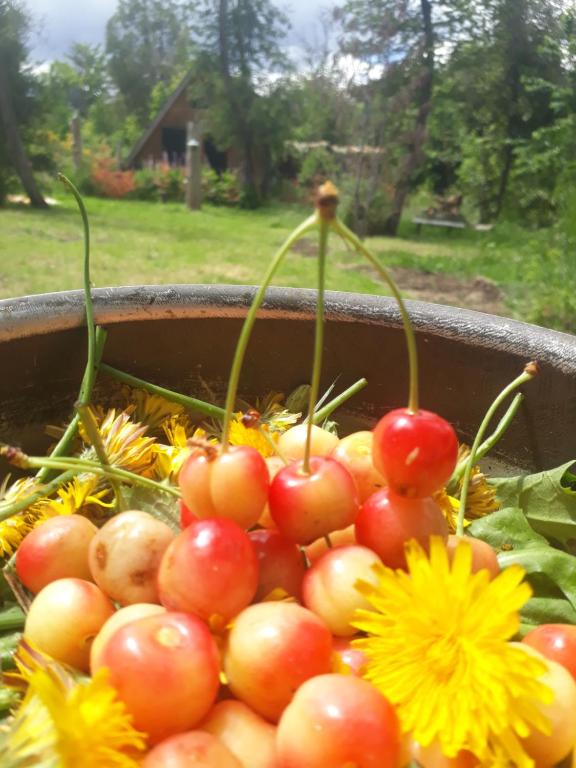 Κήπος έξω από το Refugio Holístico Flora Boreal