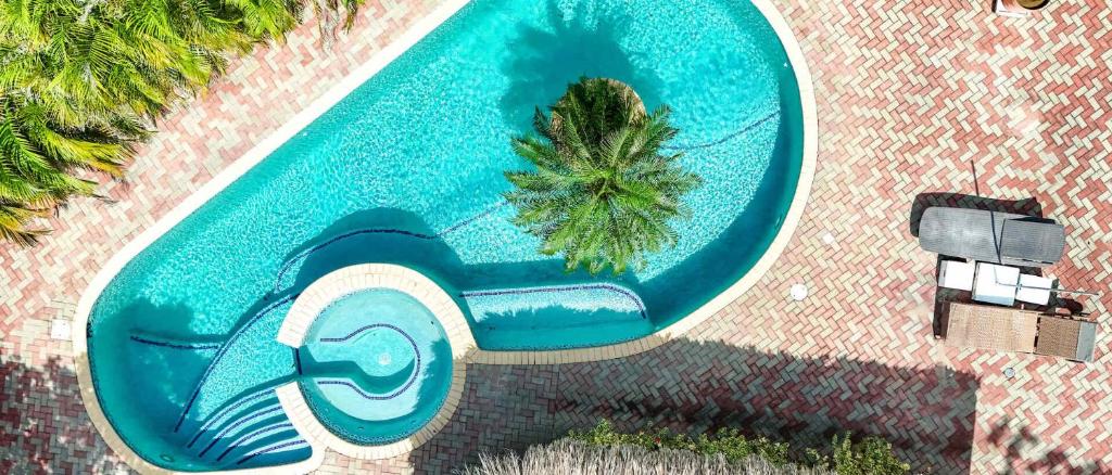 een uitzicht over een zwembad met een palmboom bij Wayaca Mini Resort in Willemstad