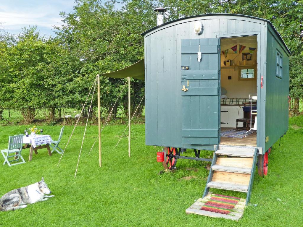 TregaronにあるCwt Cwtshlydの小屋の横の芝生に横たわる犬