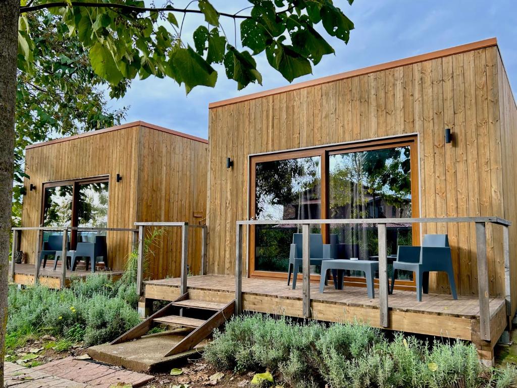 Κήπος έξω από το Cubo House