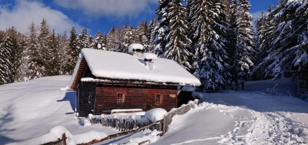 a snow covered cabin with snow on the roof at Reh's Wiesen Hütte in Luson