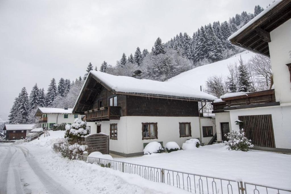 a house covered in snow with a snow covered driveway at Oma FRIEDA in Hollersbach im Pinzgau