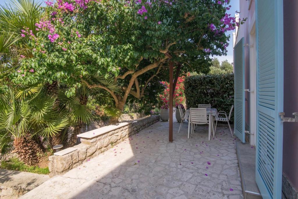 En have udenfor Villa Branka