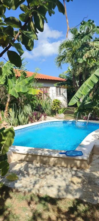 a swimming pool in front of a house at Unique and quiet TROPICKÝ PRÁZDNINOVÝ DŮM in Punta Cana