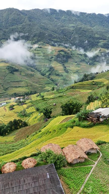 Příroda nedaleko penzionu