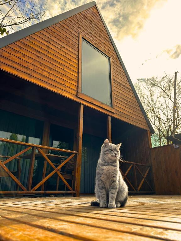 Navy Inn & Bungalows - 11