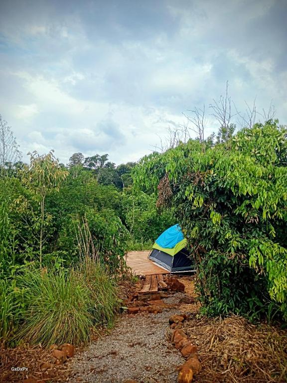 伊瓜苏港Curiango Birding Camp的一个蓝黄相间的帐篷坐落在木制平台上。