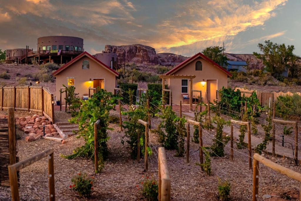 a vineyard with a house and a building in the background at Willow Street Cottages in Bluff