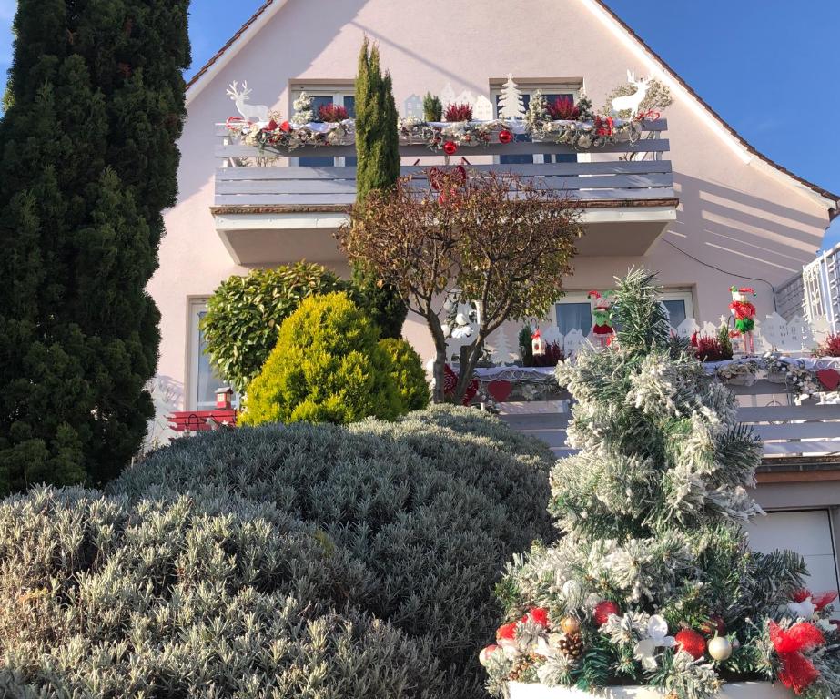 Gite Riquewihr "C'est Beau la Vie Alsace" – photo 28