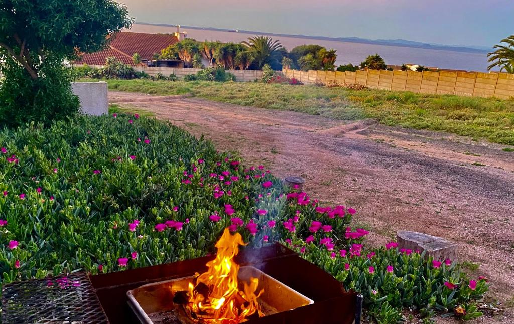 a fire pit in a field with pink flowers at Starboard Self Catering - St Helena Bay in Stompneusbaai