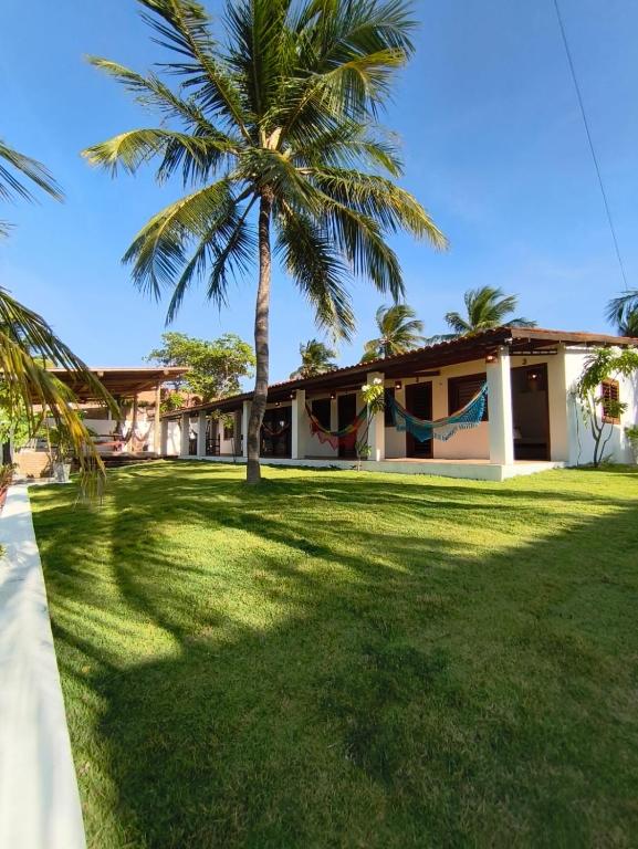 a palm tree in front of a house at Villa Tarifa Icaraizinho in Amontada