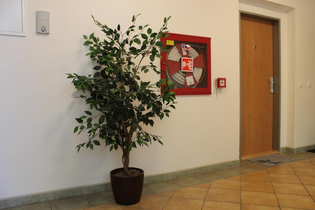 Fotografie z fotogalerie ubytování Apartment Promenada v Poděbradech