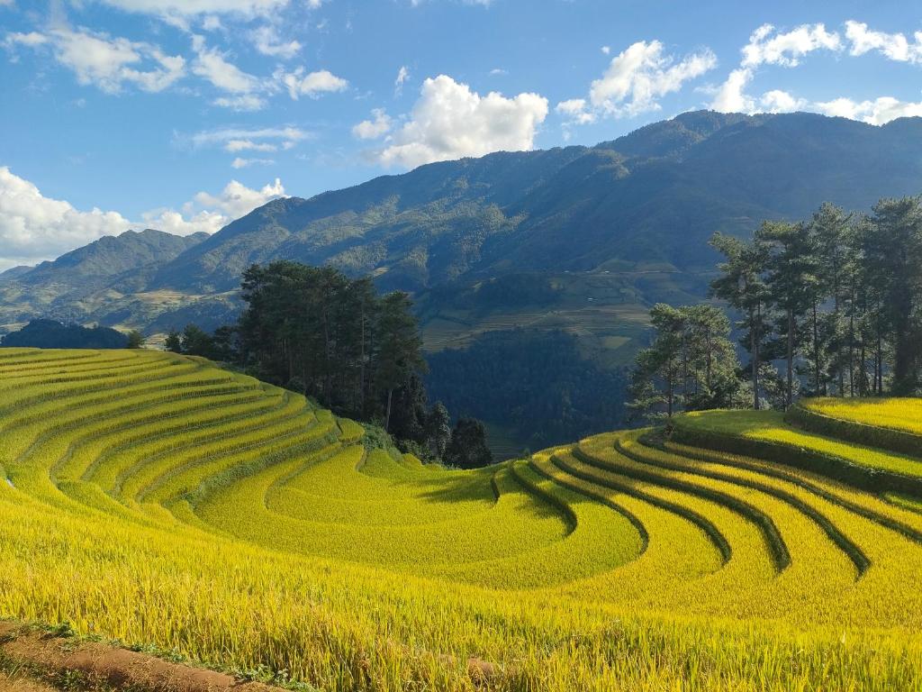 Φυσικό τοπίο κοντά σε αυτό το δωμάτιο σε οικογενειακή κατοικία