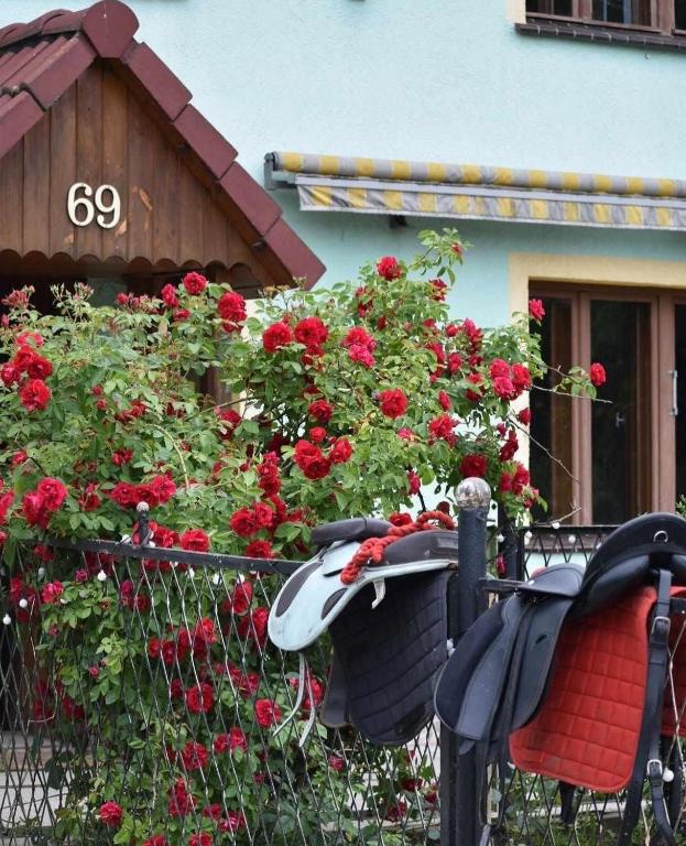 a table and chairs in front of a house with red flowers at Agroturystyka Przy Stajni in Zbylutów