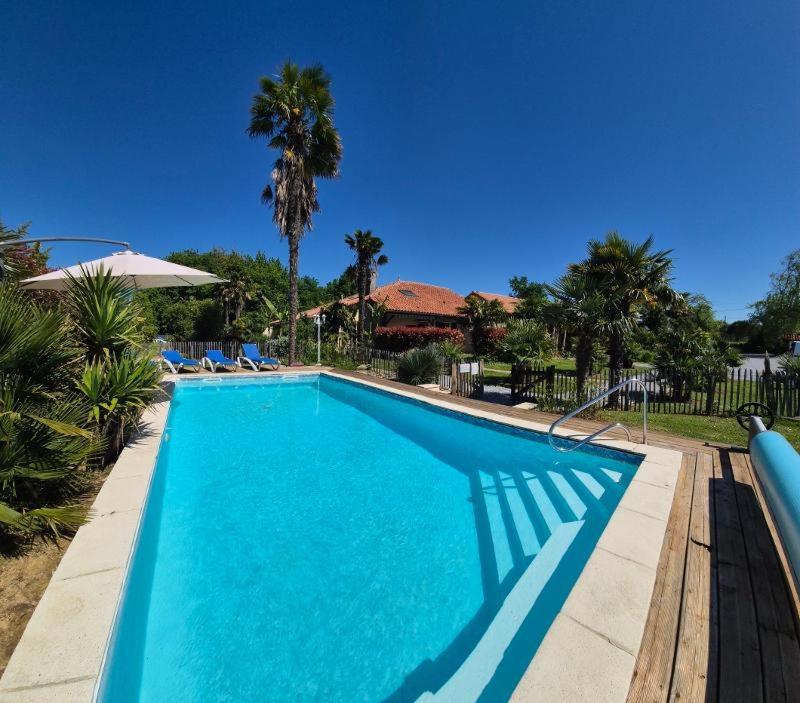 Swimmingpoolen hos eller tæt på renaissance larmane