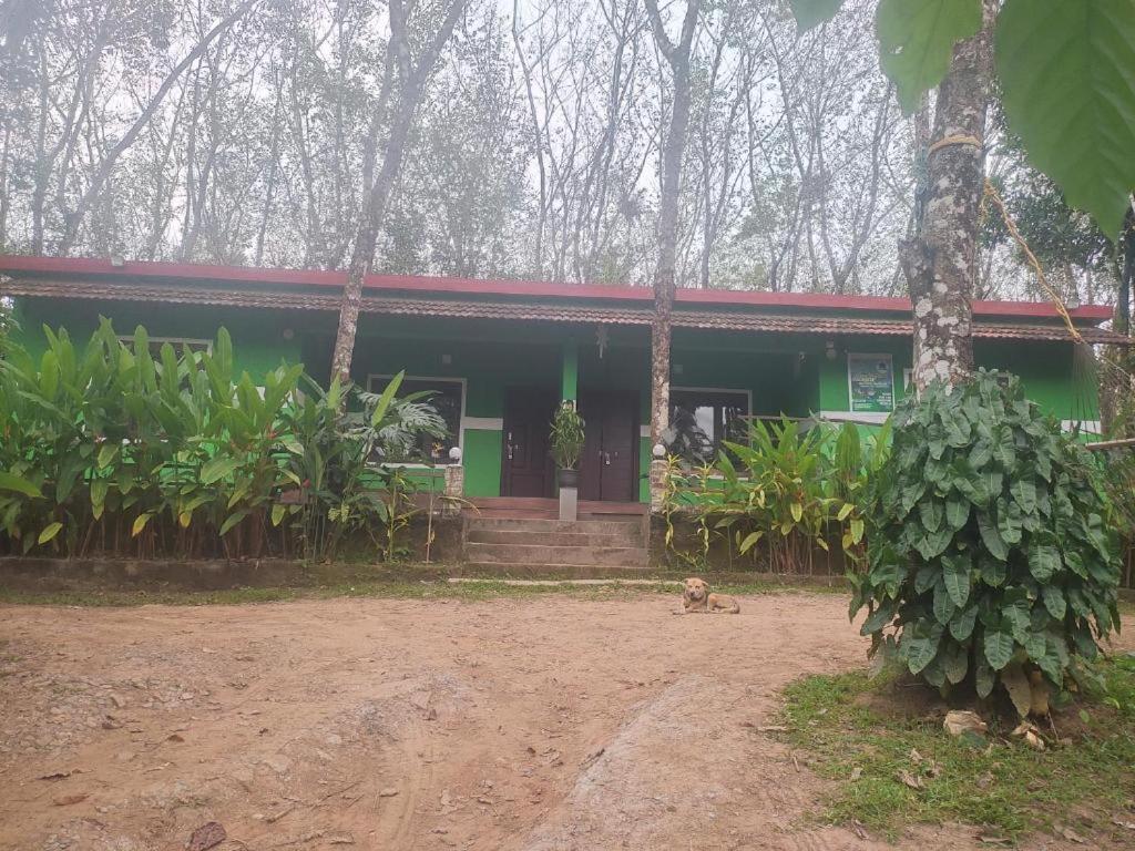Green Wayanad Homestay في Batheri: بيت أخضر مع كلب أمامه