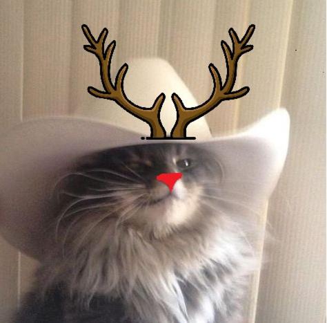 Φωτογραφία από το άλμπουμ του TRYP by Wyndham Dubai στο Ντουμπάι